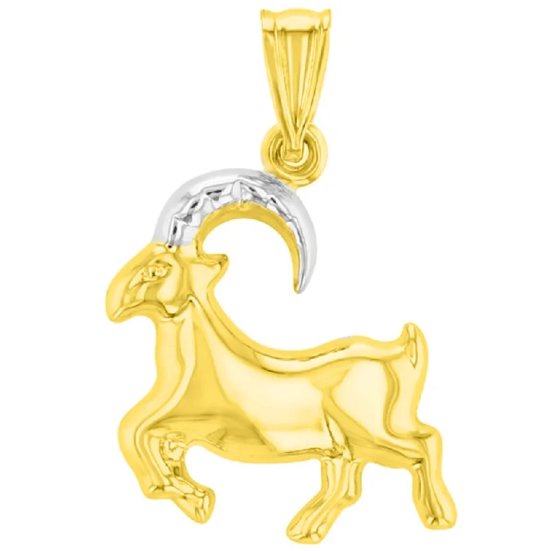 women gemstone necklaces -High Polish 14K Yellow Gold Capricorn Zodiac Sign Charm Pendant